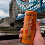 Equinox Fiery Ginger kombucha, UK version