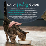 Encore wet cat food fish selection pouches - British product