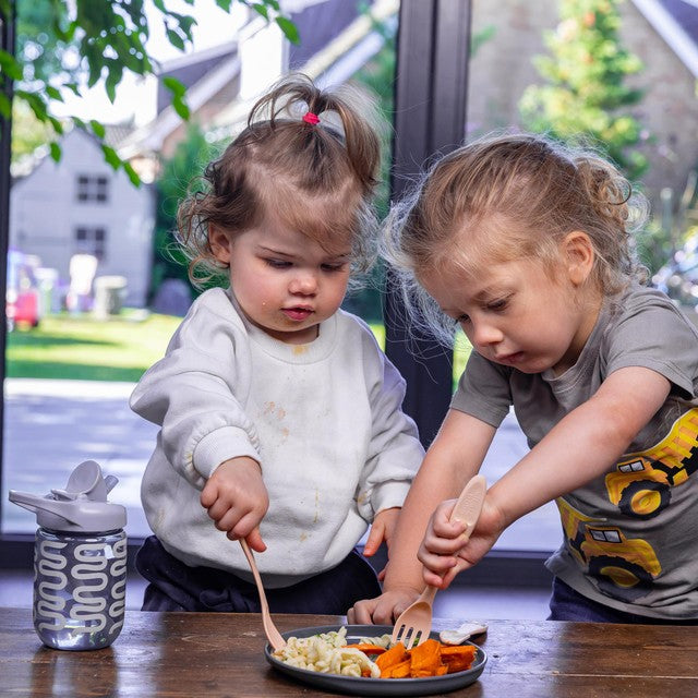 Vital Baby biodegradable toddler plates natural 5pk (British brand)