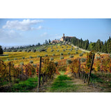 Castello Banfi Chianti Classico DOCG red wine 75cl - British product