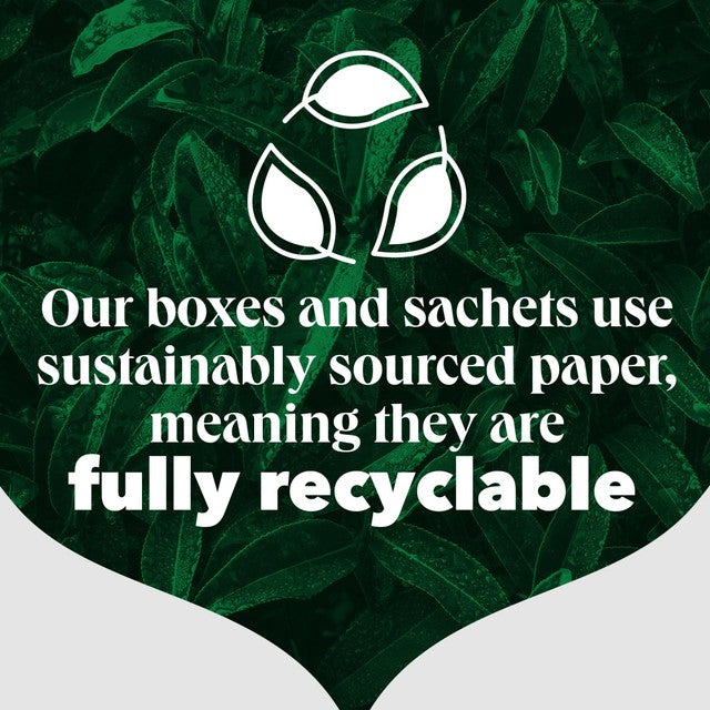 PG Tips decaf plant based biodegradable tea bags, imported from the UK