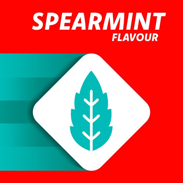 Rennie spearmint heartburn relief tablets, British brand