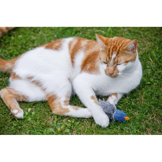 Petface Dudley Duck cat toy, UK version