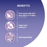 Purina One sensitive turkey dry cat food 750g, imported from the UK