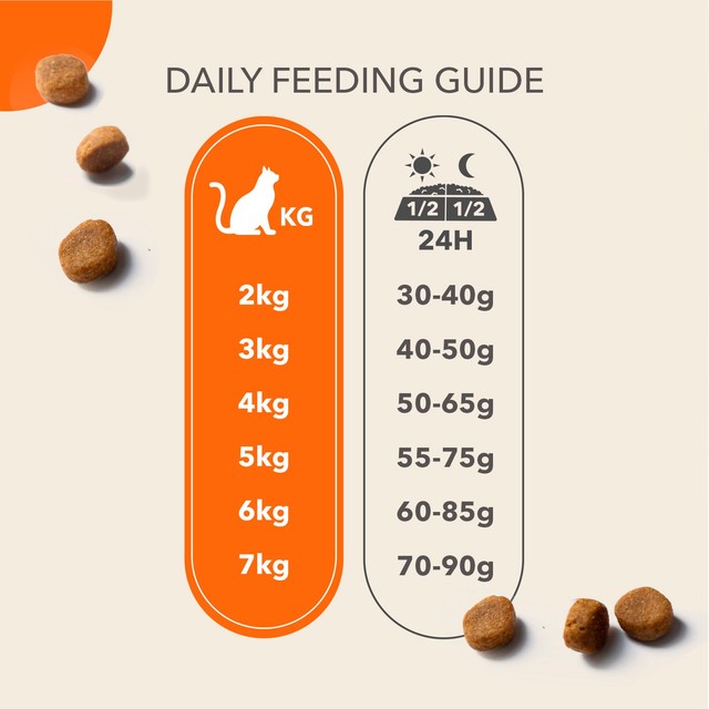 Iams senior chicken cat food 800g, UK version