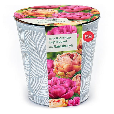 Sainsburys Sainsburys Pink Orange Tulip Bucket- Acheter en ligne chez McGrocer