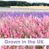 Deva Designs Natural Petal Confetti 100ml, imported from the UK