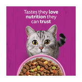 Whiskas dry cat food with salmon 800g (British brand)