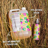 Faith In Nature lavender dog shampoo 5L - British product