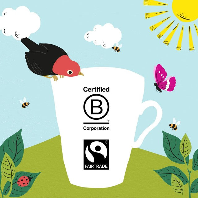 Clipper Fairtrade instant hot chocolate 350g - British product