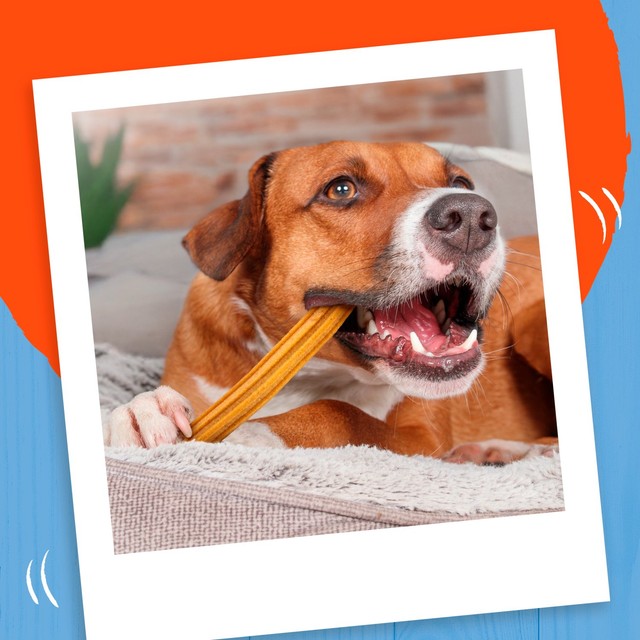 Bakers Dental Delicious Medium Chicken Dog Chews 200g - British product