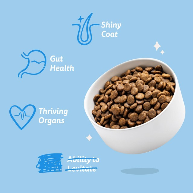 Edgard & Cooper grain-free salmon dry dog food 2.5kg (British brand)