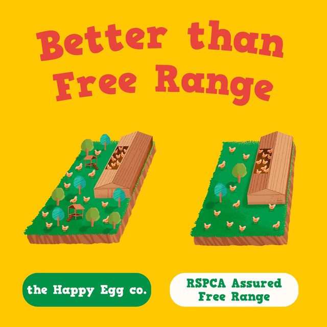Happy Eggs Large Free Range Eggs 10 pack, UK version