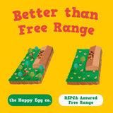 Happy Eggs Large Free Range Eggs 10 pack, UK version