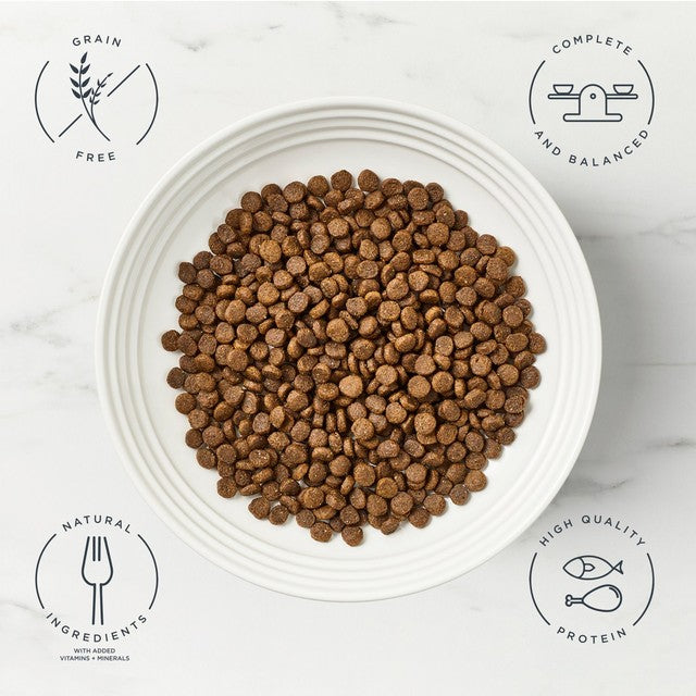 Encore chicken dry cat food 800g - British product