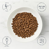 Encore chicken dry cat food 800g - British product