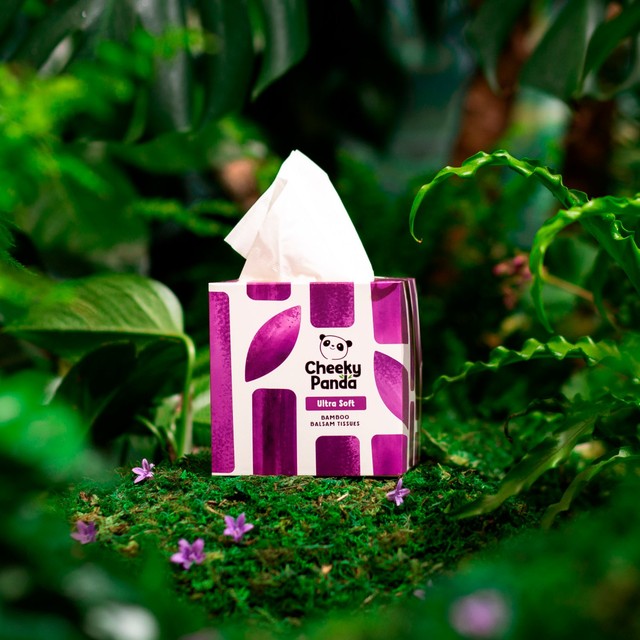 The Cheeky Panda bamboo balsam 4ply cube tissues 48 pack (British brand)