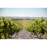 Yealands Reserve Sauvignon Blanc white wine 75cl (British brand)