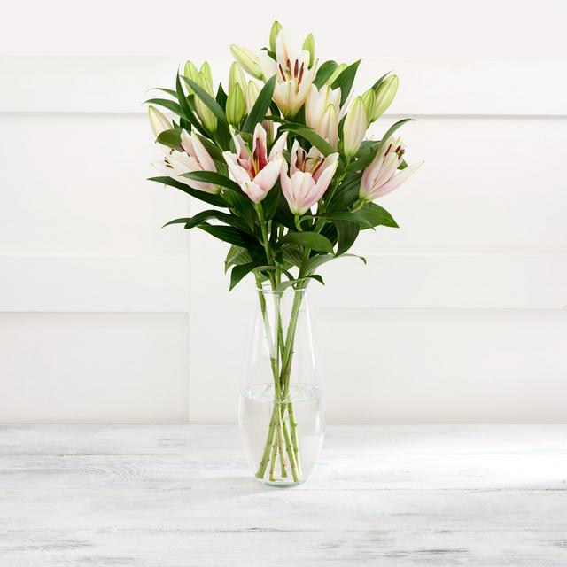 Pink Oriental Lilies Bouquet with 5 Stems