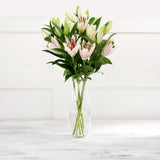 Pink Oriental Lilies Bouquet with 5 Stems