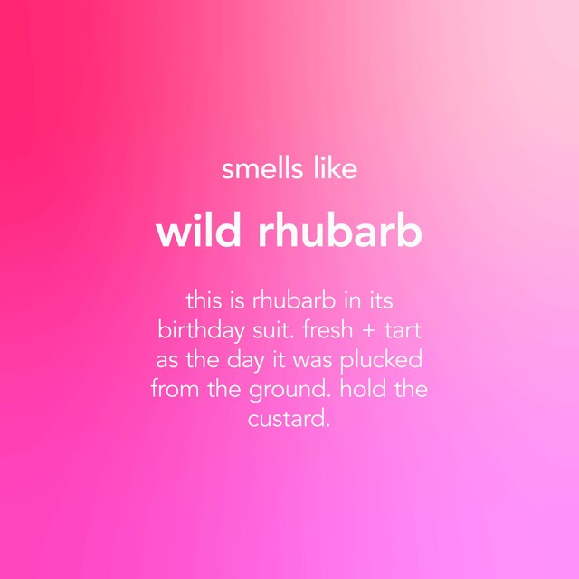 Method antibacterial all-purpose cleaner wild rhubarb 828ml, imported from the UK