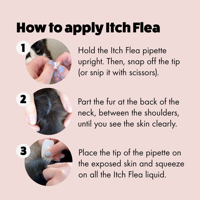 Itch Flea Cat Spot-On Treatment 1kg+, UK version