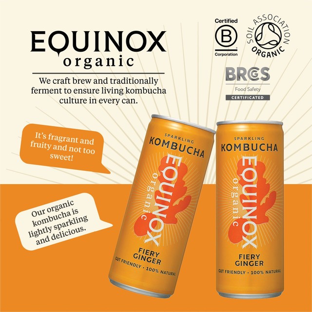Equinox organic fiery ginger kombucha multi-pack, UK version