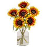 Speciality Sunflower Seeds