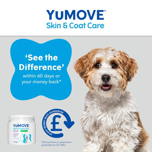 Lintbells YuMOVE Boost dog supplement 91.5g (British brand)
