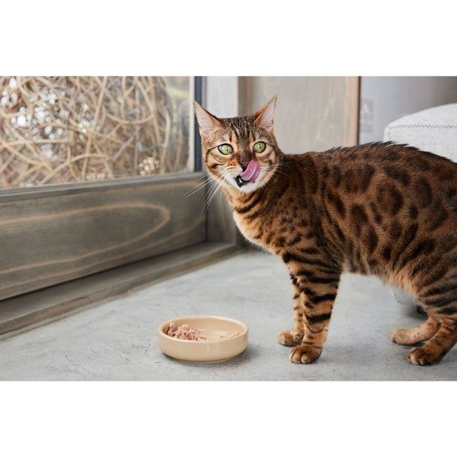 Thrive wet cat food Tuna & Salmon 75g (British brand)