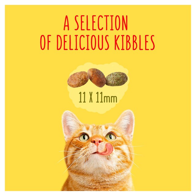 Go-Cat Indoor Chicken Dry Cat Food 750g, UK version