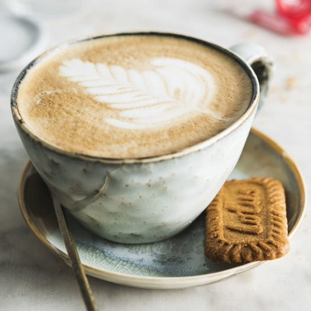 Lotus Biscoff Caramelised Biscuits Snack Packs 16 x 15.5g, UK version