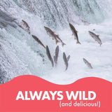 Fish 4 Ever wild Pacific pink salmon canned 170g - British product