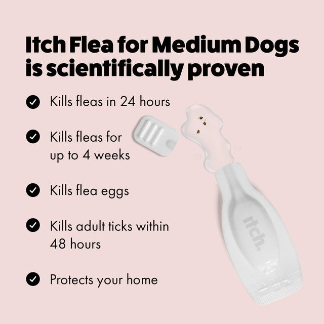 Itch flea and tick treatment for medium dogs 10-20kg, UK version