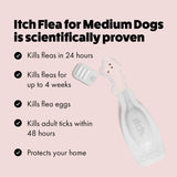 Itch flea and tick treatment for medium dogs 10-20kg, UK version