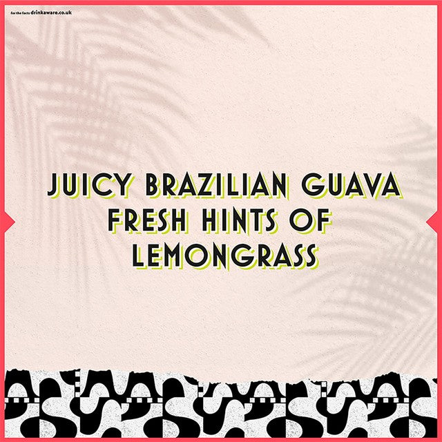 Tanqueray Paradiso Guava and Lemongrass Gin 70cl (British brand)