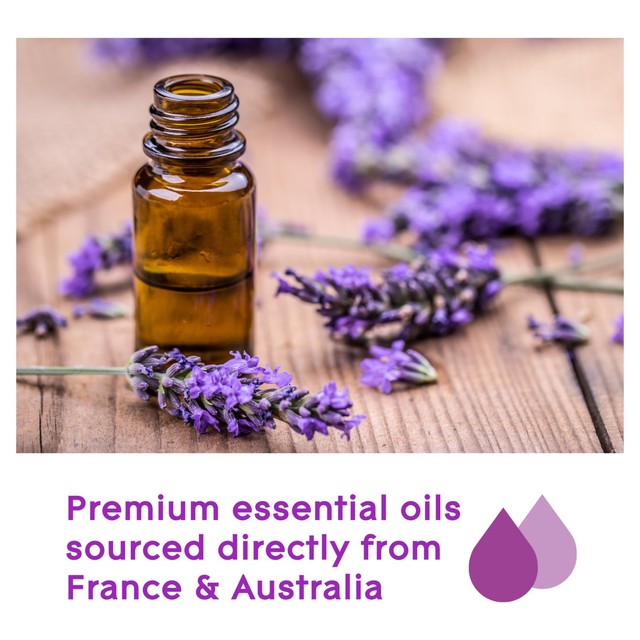 Glade Aromatherapy Reed Diffuser French Lavender Sandalwood 80ml, UK version