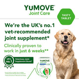 Lintbells YuMove Senior dog joint supplement (British brand)