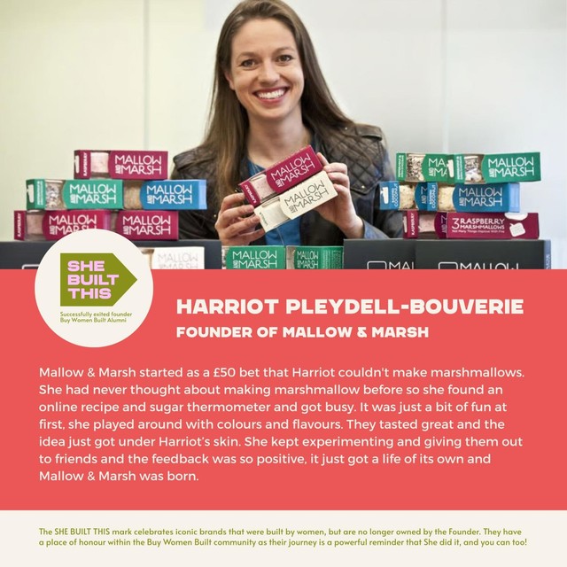 Mallow & Marsh raspberry & 70% dark chocolate marshmallow bar 35g, imported from the UK