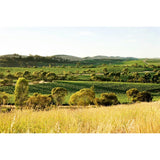 Jim Barry Cover Drive Cabernet Sauvignon red wine 75cl - British product
