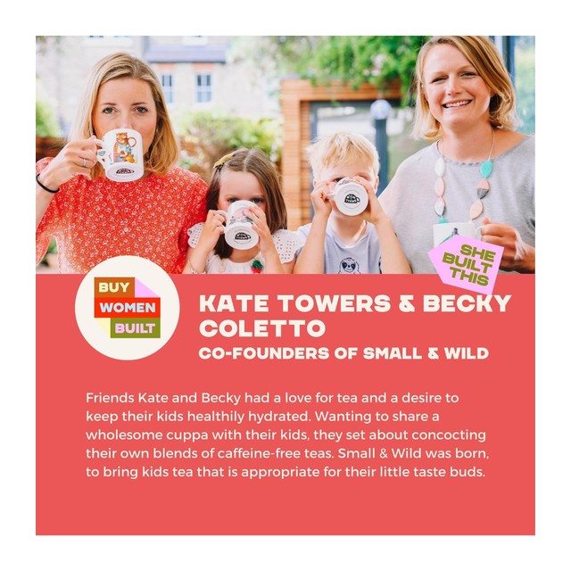 Small & Wild Kids Chai Tea Vanilla 15 Count (British brand)