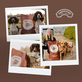 Griffiths original beef dry dog food 15kg, UK version