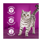 Whiskas wet cat food ocean menu in jelly 6 x 400g tins (British brand)