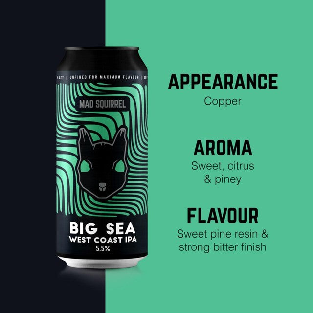 Mad Squirrel West Coast IPA Bier 440ml Dose, importiert aus dem Vereinigten Königreich