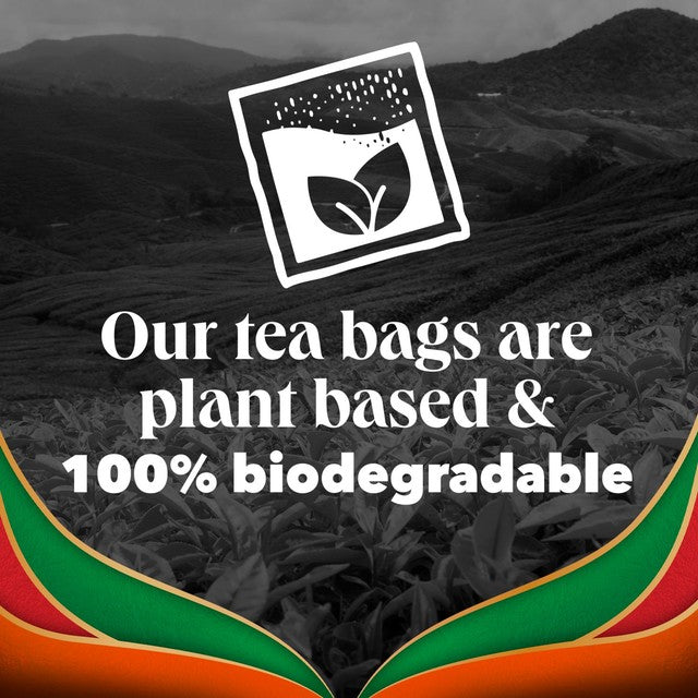 PG Tips Chai tea bags 70 pack, imported from the UK
