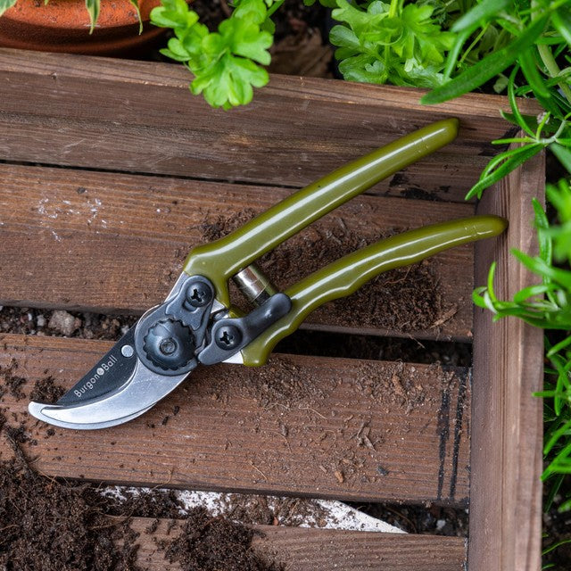 Burgon & Ball olive micro secateurs with high-carbon steel blade, UK version
