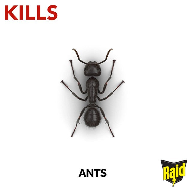 Raid Ant Bait Station, imported from the UK