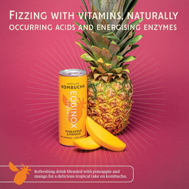 Equinox organic pineapple mango kombucha can, imported from the UK