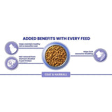 Purina One Coat & Hairball Chicken dry cat food 750g, imported from the UK