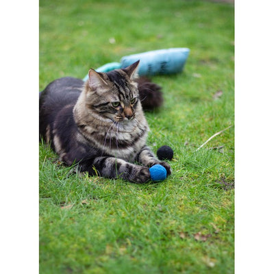 M&S Rosewood Battersea Pounce Katzenbälle Katzenspielzeugbälle 4er-Pack – Online bei McGrocer kaufen